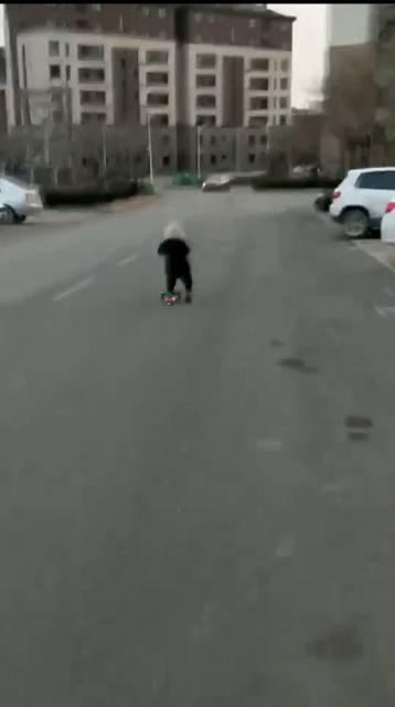 动物庄园|清朝也没有手机，那些王爷是怎么打发时间的？