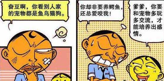 漫画|奋豆与爱宠“同床共枕”，奋爹“狂妄自大”却换来“遍体鳞伤”
