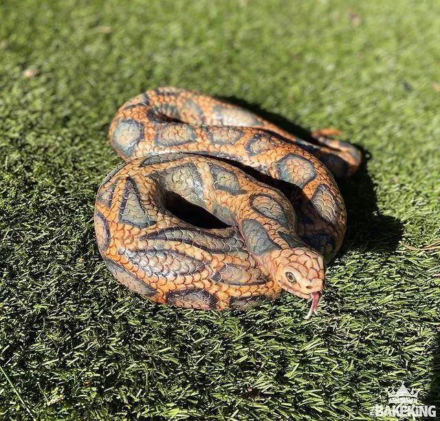 新晚报 小哥做人体蛋糕，吓坏30万网友！太逼真，慎入！惊艳到恐怖