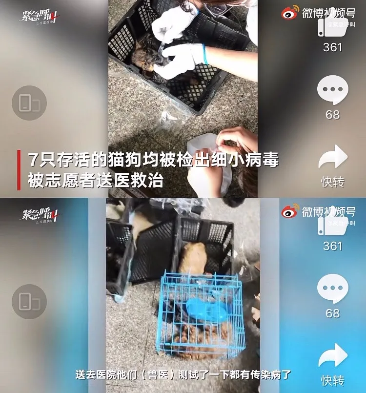 遇合情感攻略 出现尸体快递，央视怒批：你们还有底线吗？