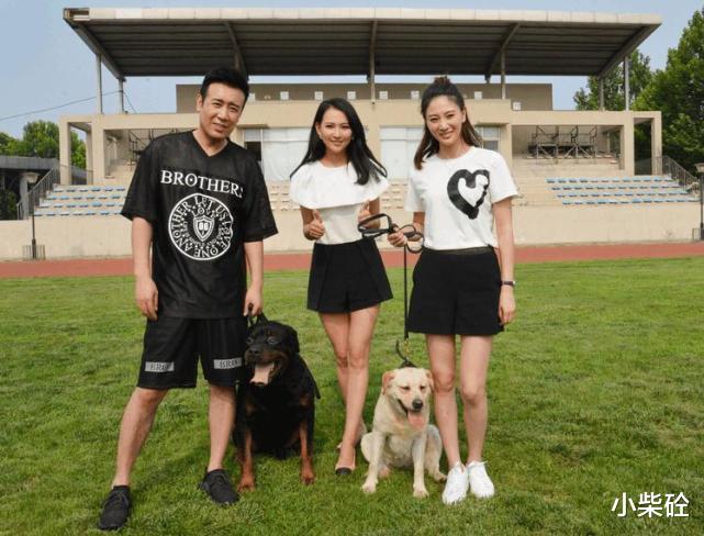 辽宁省|盘点：辽宁省的女明星，都是影后级别的女神