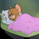 桉月|表情包：晚安