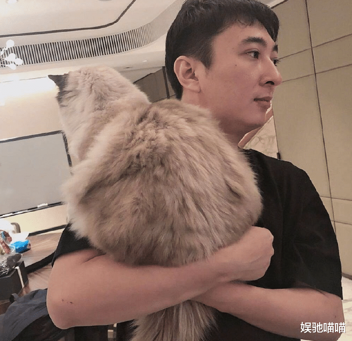 孙一宁|孙一宁继王思聪事件后,为三件事情发道歉书,这是要“洗白”进演艺圈了?