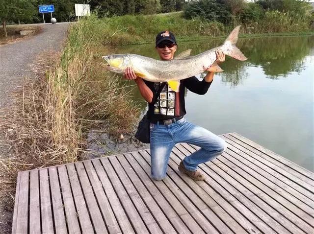 苏杭|豪车停满、买装备花100多万,钓鱼是男人最后要占领的高地?