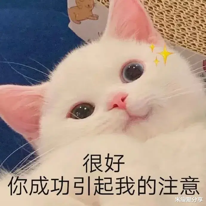 口红 新出的口红色号都太顶！再也不用送拉菲草了！