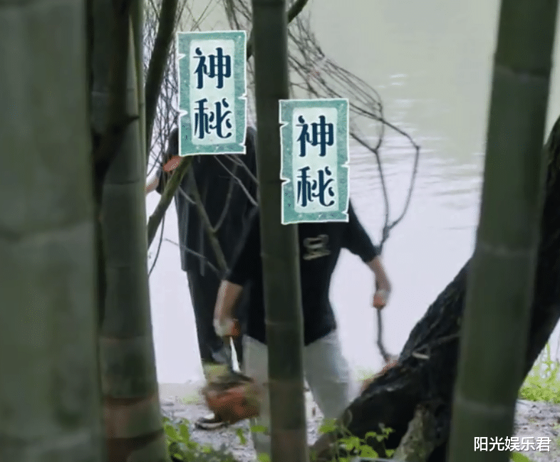 杨紫|下期《向往》杨紫还没走，又迎来两位开心果嘉宾，笑点要爆炸了！