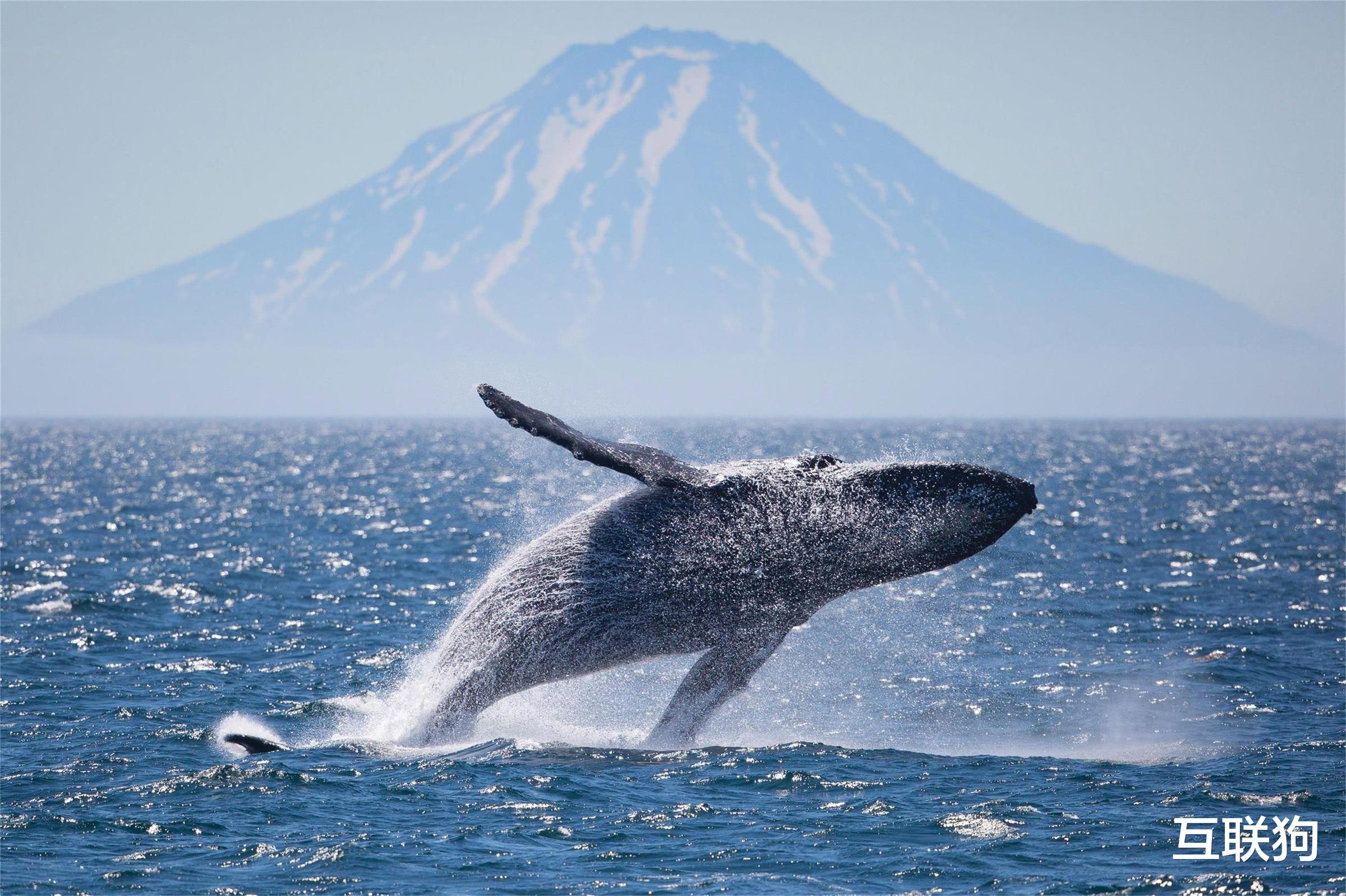 卫星 假如太阳忽然熄灭，人类运用当下科技能活多久？