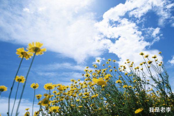 难以忘怀|10月9号起,果断决绝,忘记前任,马上遇见真爱的3生肖,生活幸福美满