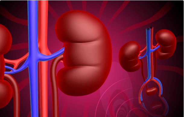 秋老虎|肾病总是反复，4个诱因是“祸首”！肾内医生给出应对策略