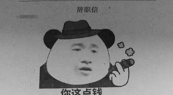 大学生|看到这些“另类”辞职信，还说大学生就业难？炒掉老板这么任性