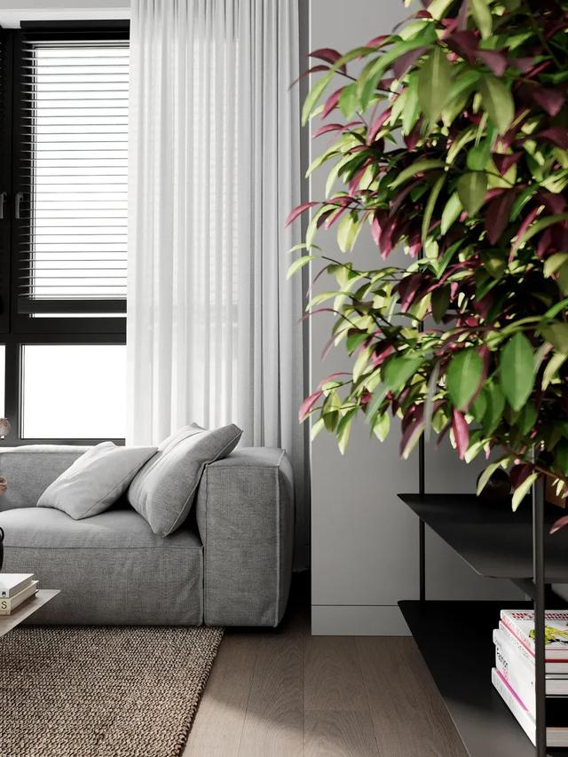 50㎡极简小公寓,独居的日子,清雅舒适