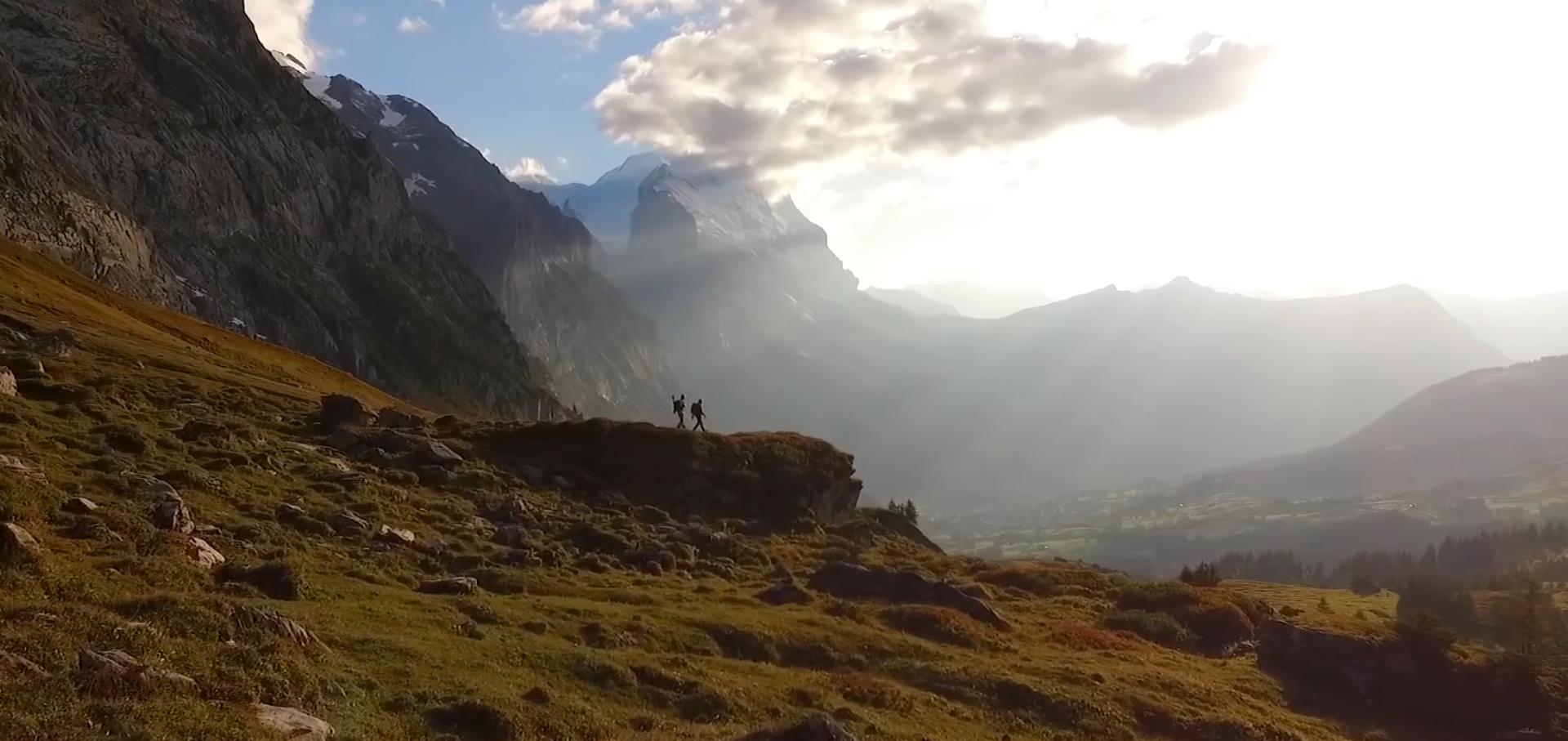 驼鹿 地球原本没有人类，人到底从哪里来？第一个原始人又是谁？