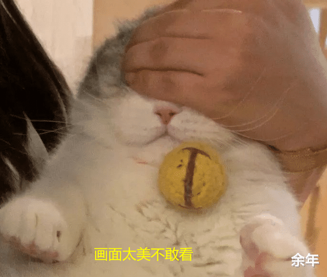 女大学生 受不了！浙江温州，有公厕没门没遮挡，男女可并排坐，“边拉边聊”