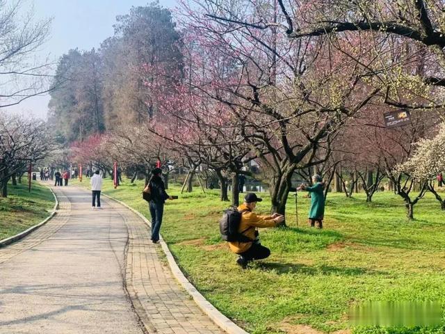 湖北日报视频 湖北这些地方下雪了！接下来的天气要注意……