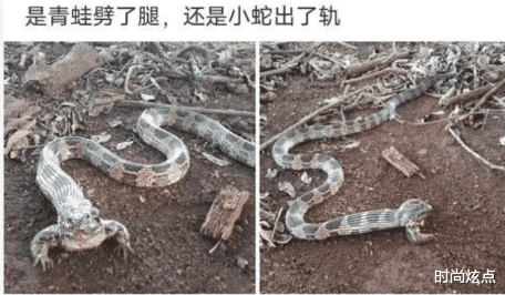 时尚炫点|这辆奥迪是招谁惹谁了，看起来也不像是挡路了啊，肯定是遇到仇家了，太惨了