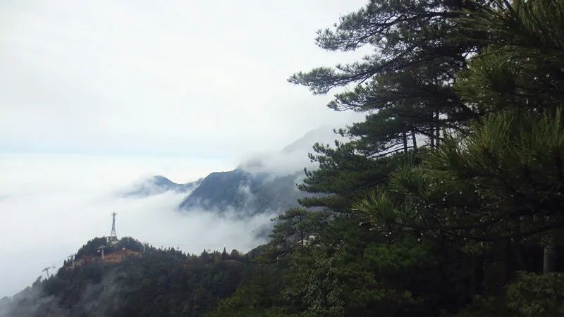 裴绚丽|文化旅游第七站—武功山