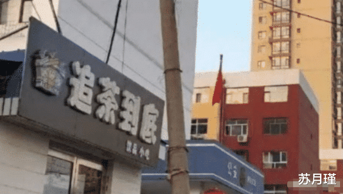 苏月瑾|“一个月给你8万，没有假期，每天工作12小时有人能坚持吗”
