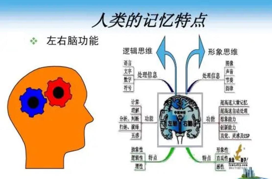 基因 人类基本没有3岁前的记忆，这是真的吗？其中的原因是什么？