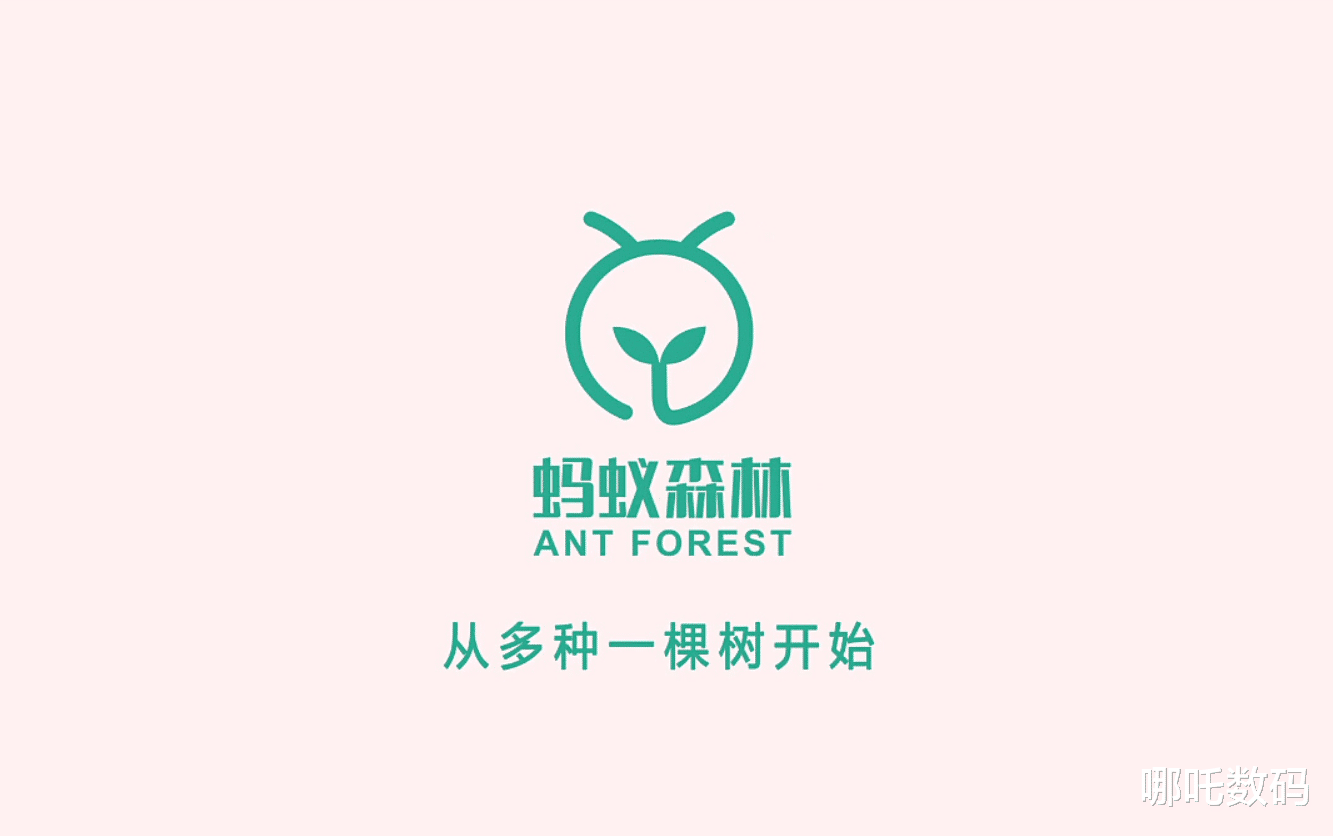 上海市 蚂蚁森林“去哪儿”了？网友质疑后道歉：从未见过这么小的树！