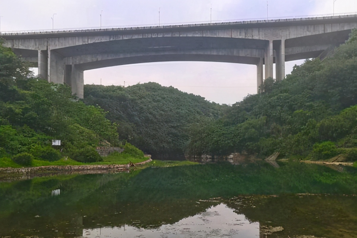 贵阳|贵阳一河道发现“斑点鱼”，钓鱼人：密密麻麻下钩就咬