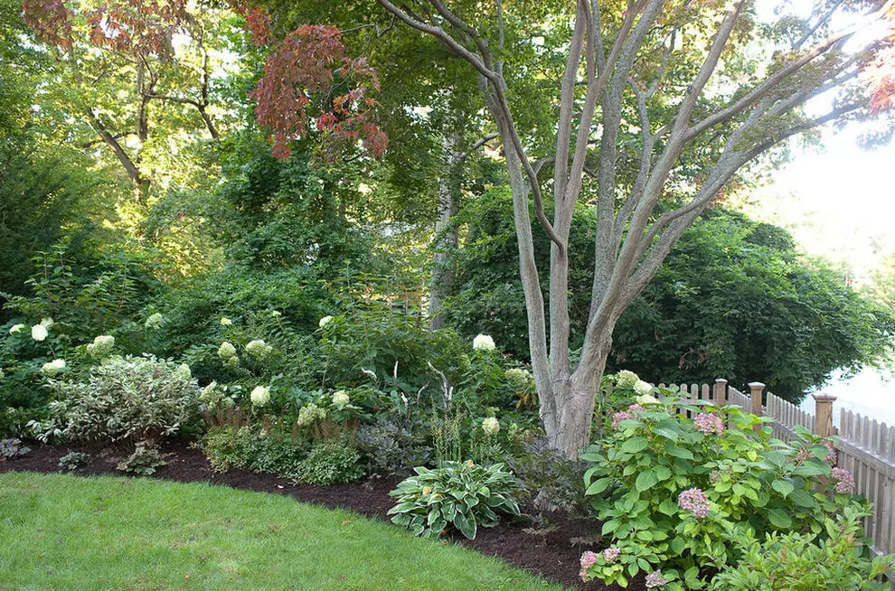 9种有效的设计方案，带你发掘庭院不一样的美!