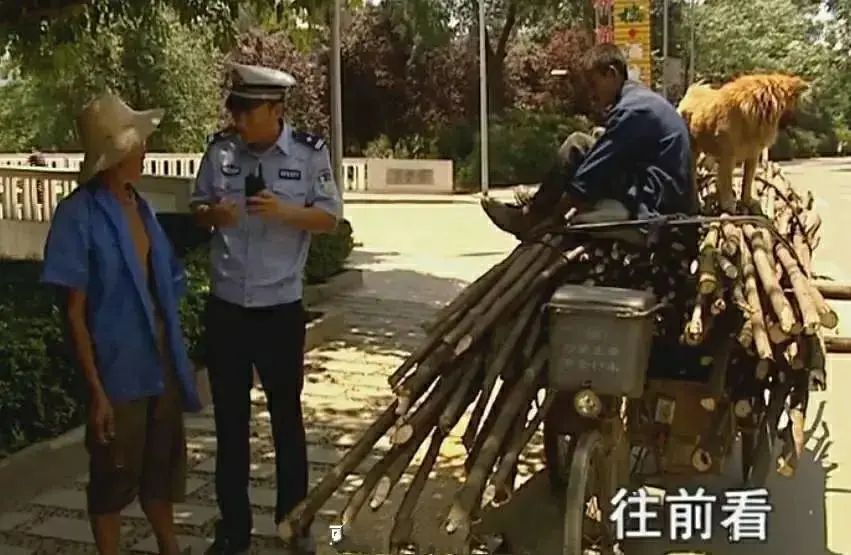 咸鱼真探 豆瓣9.6的宝藏节目，又沙雕又好笑，看到最后居然想哭