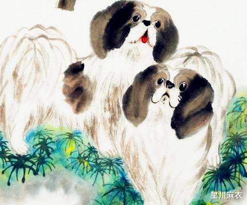 星川麻衣|8月9日-8月15日属虎、属马、属狗运势提点，广结善缘好运连连