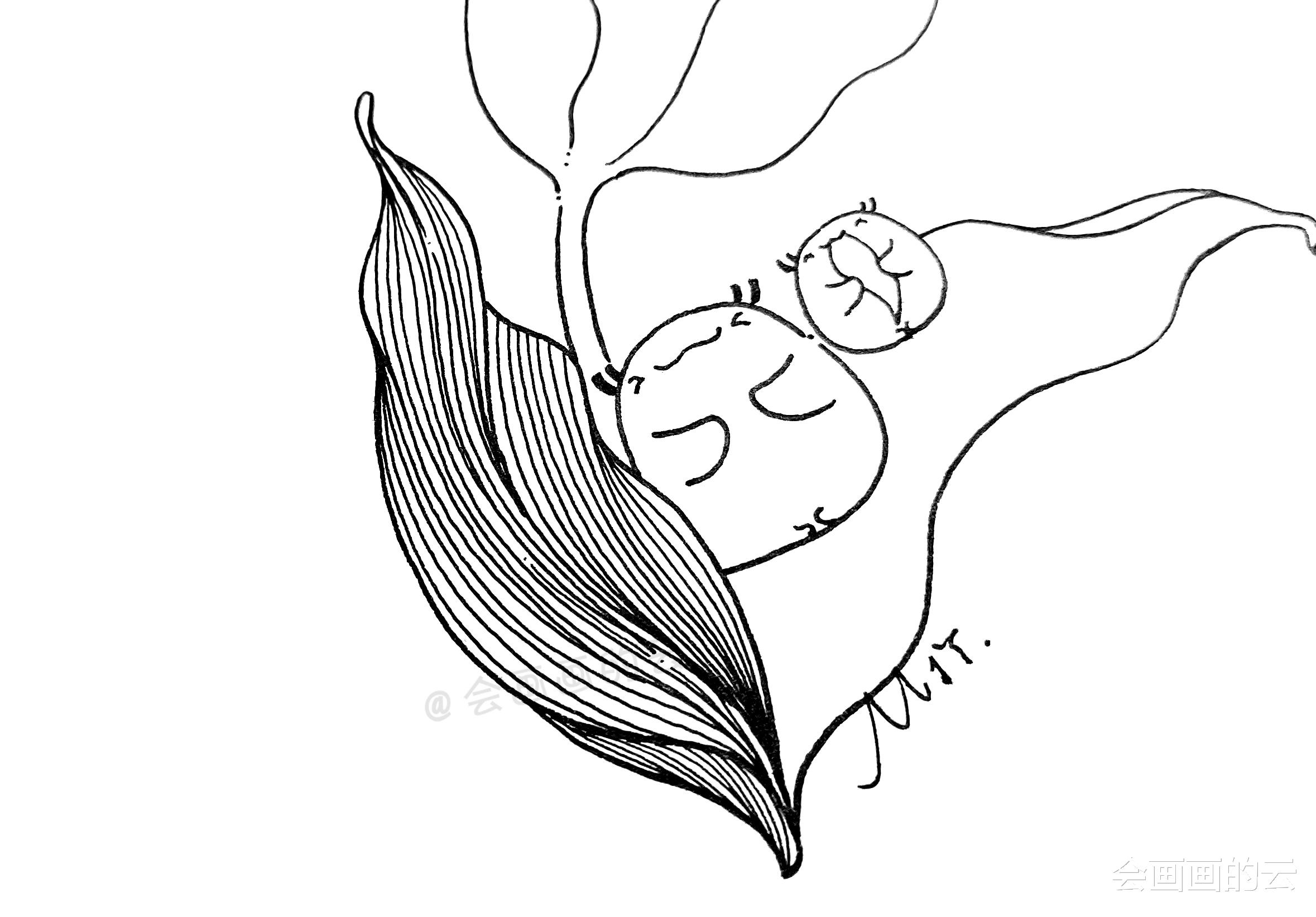 图文手绘教程：一步一步教你画郁金香，新手也不怕学不会