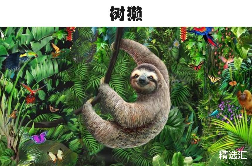 鹿豚的牙齿可能戳死自己吗?5种会被自己“杀”死的动物