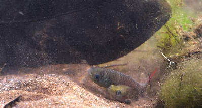 大象 触目惊心，不忍直视！9.3分顶流刷屏，对不起我夸不下嘴…