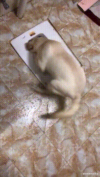 姐姐|“这是阿里巴巴20年前的招聘广告，那时的工资真的不低哈！”