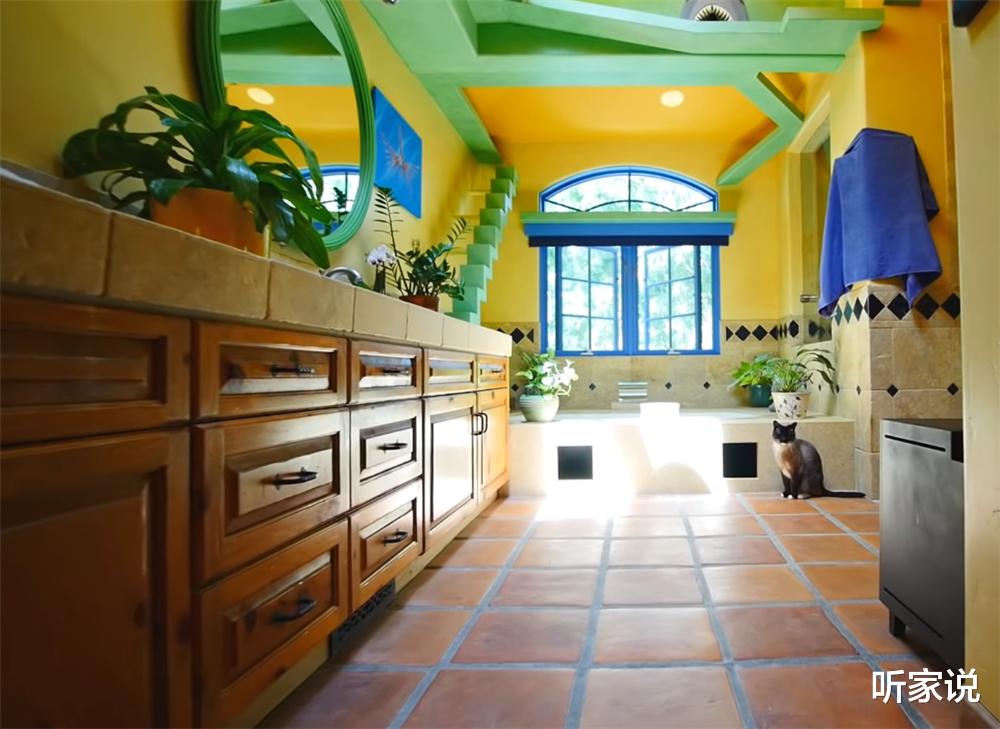 听家说|土豪壮汉养22只猫咪,为猫主子将别墅变成猫乐园,网友:太治愈了