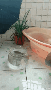 每天都是潮人|如果有人一直吃饭然后吐掉，只享受味道会怎么样？