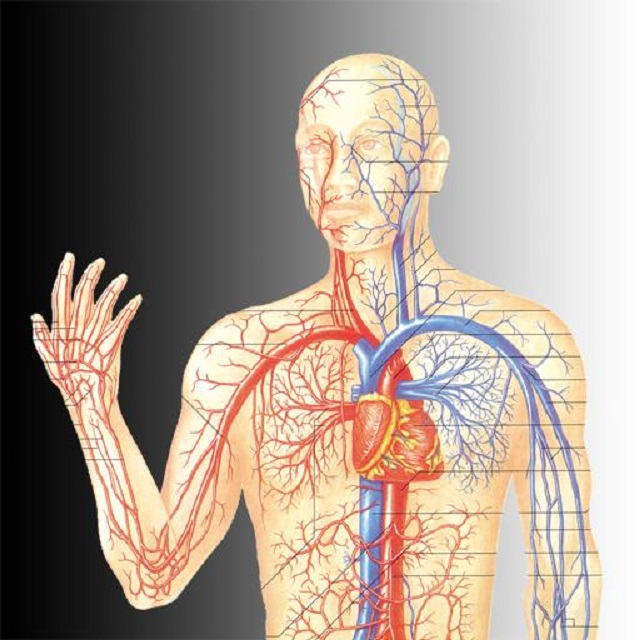 长寿|走近中医：中医说到的“经络”，到底有哪些作用？