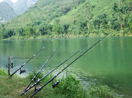 教会|冬季野钓不找底难上鱼，老钓友教会你调漂找底垂钓大鲫鱼