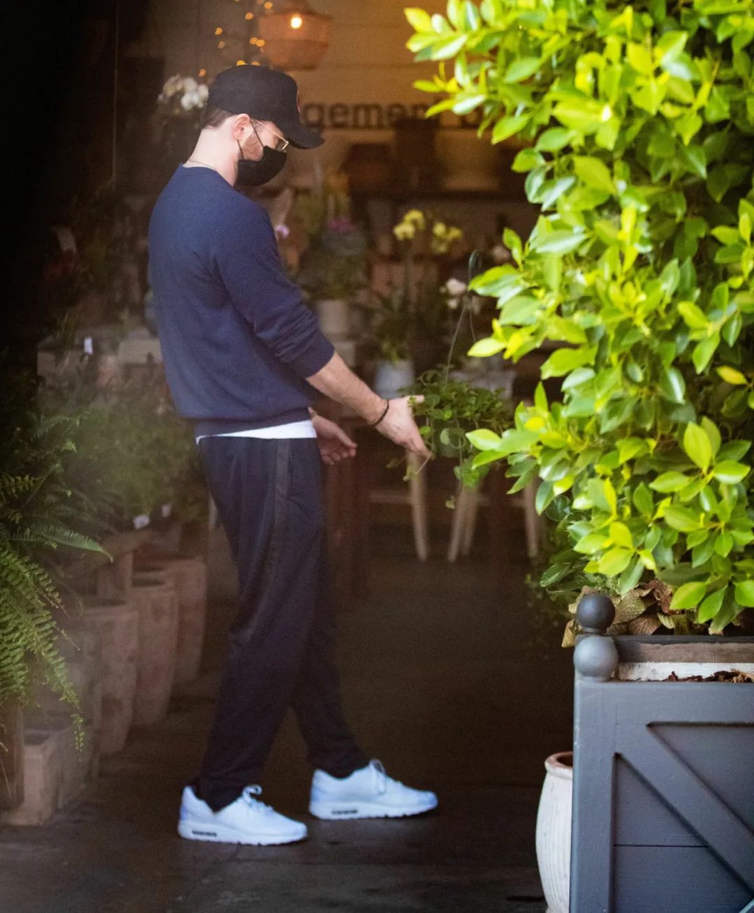 克里斯·埃文斯|神颜|不愧是大熊甜心，美队克里斯埃文斯超型新街