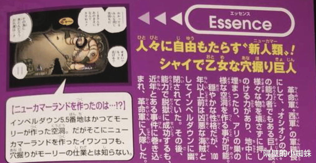 蜘蛛|海贼王官方情报，茉莉居然是凶恶海贼，他的实力远不止2亿9300万贝里