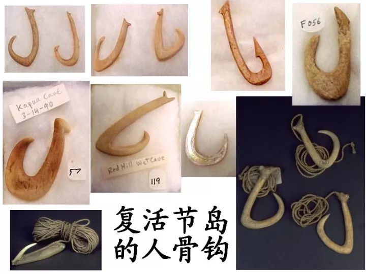 |浅谈鱼钩进化史,古人钓鱼为了一个倒刺到底有多拼?