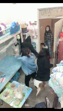 基因|“白化病的棕熊，每次被动保组织发现，都会送到北极！”