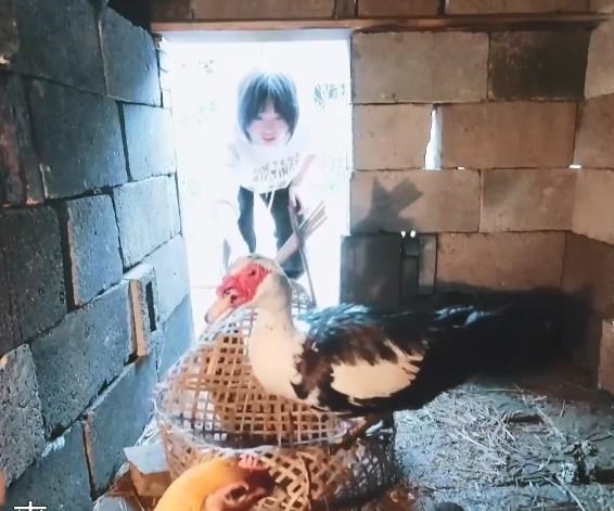 李雪琴|《向往5》下期迎来最勤劳嘉宾，抓鸡拿蛋不矫情，连木工活都拿手