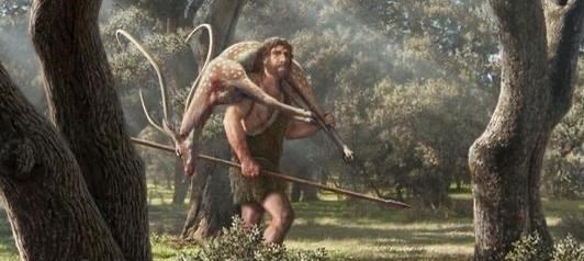 皓月长星|2小时跑完42公里！除了人类之外，还有哪些动物能做到？