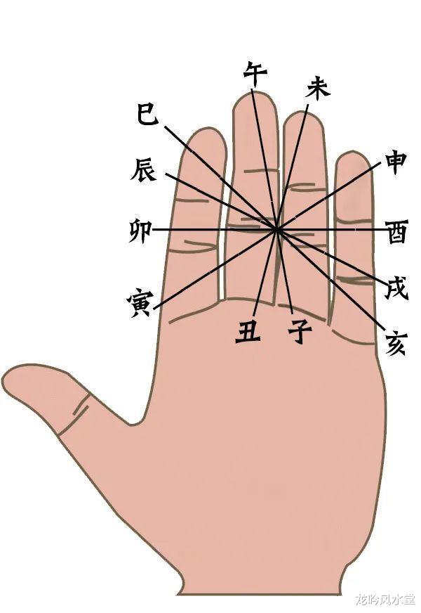 龙吟风水堂 初学易时常用的六种地支掌诀