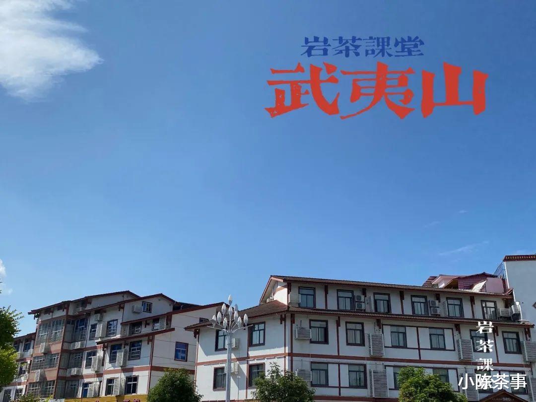 白茶|都是老茶，老白茶、老普洱贵如金，凭什么就陈年岩茶滞销堆积？