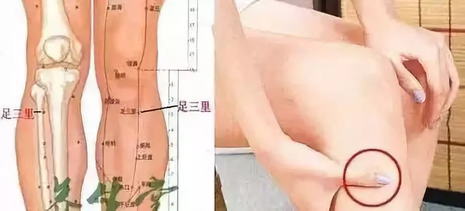 疾病|中医基本常识(太珍贵了,好好收藏)