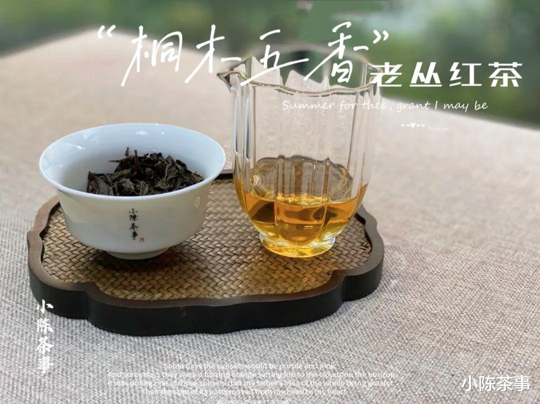 衰老|5年以上的红茶才好喝？盲目推崇“老红茶”，是谁在东施效颦？