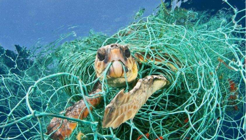 白色污染|塑料污染日益严重，涸泽而渔将导致海洋消亡，人类将面临灭绝危险