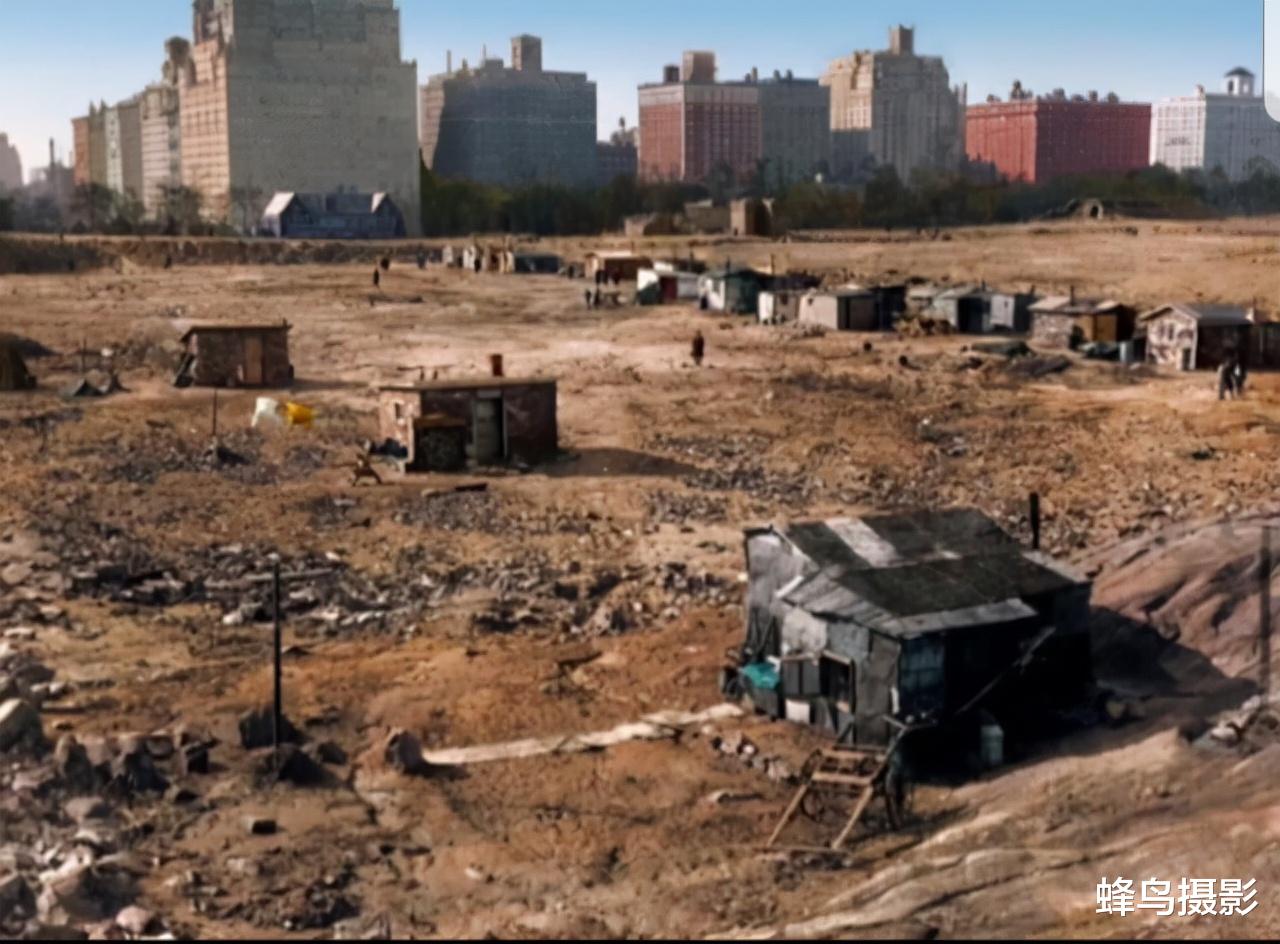 科学家 35张活久未见的照片，两只袋鼠打架太像人，一只勒住另一只大脖子