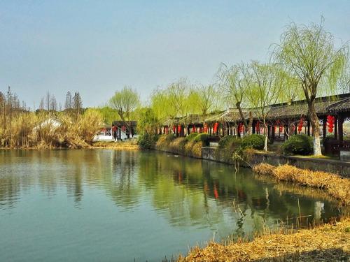 春掌柜 红色曲目,红色记忆,至今都还是中老年朋友的最爱