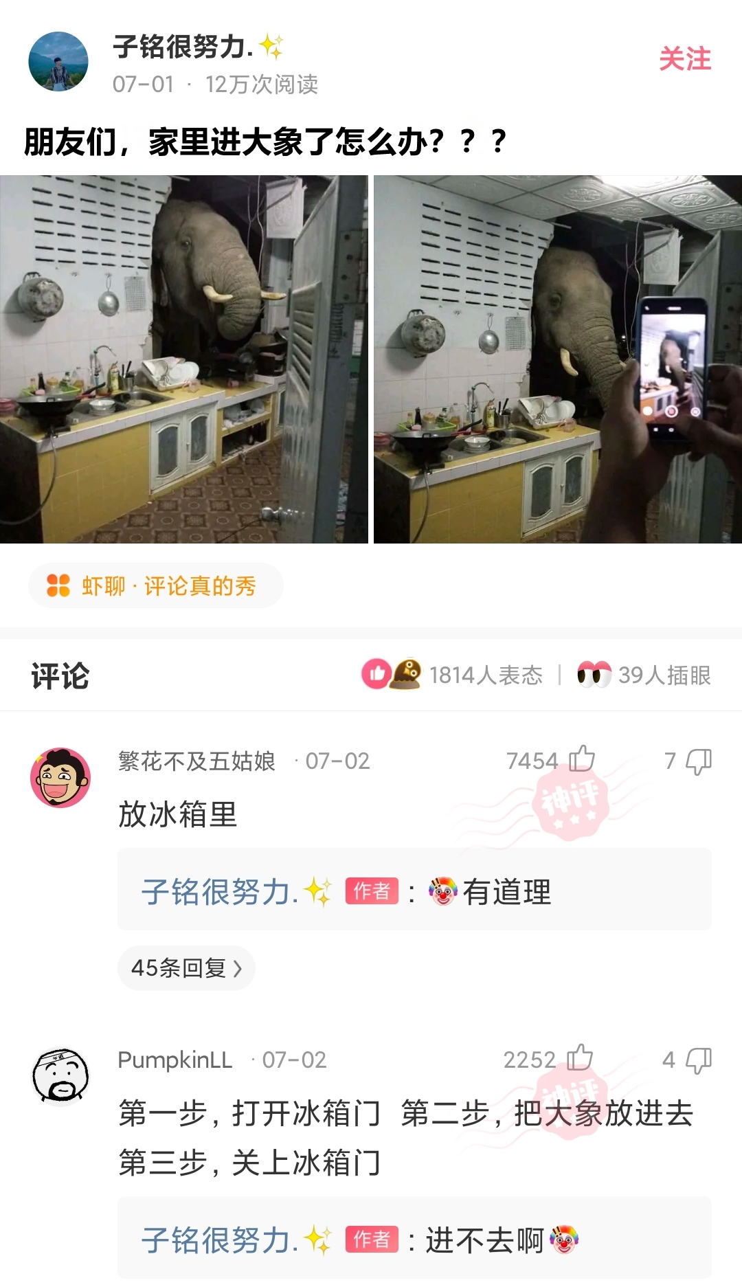 锂电池 神回复：请问家里进大象了咋办？