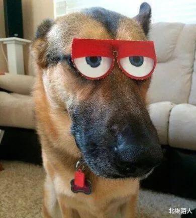 张卫健|“猜猜我在张卫健版本的西游记里发现了谁？”鸡你太美？哈哈哈